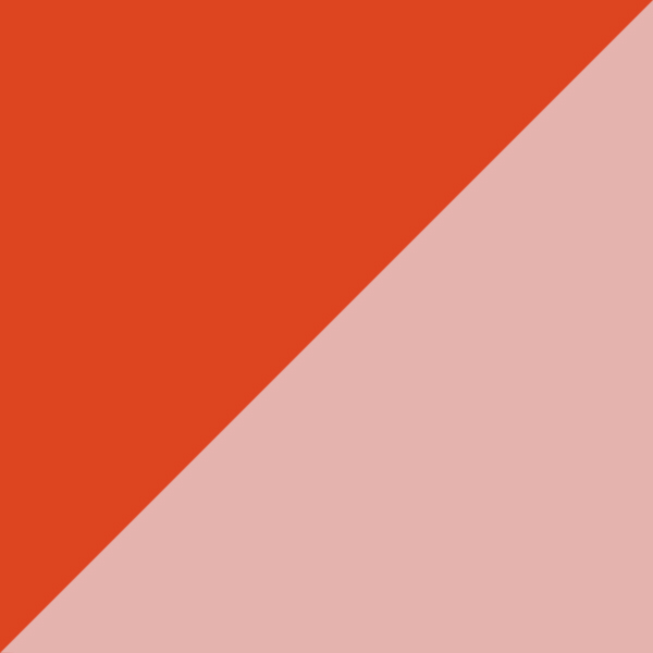 Caramel Pink Tortoise