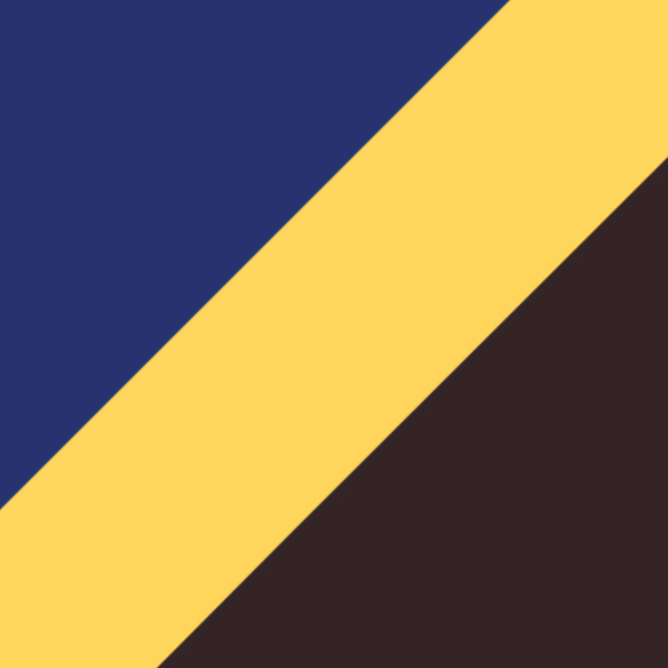 Tortoise Granite Blue