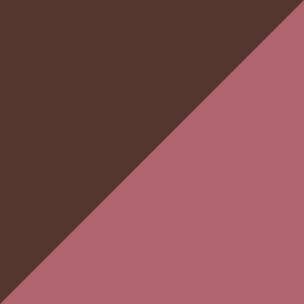 Brown Tanganyika/Coral Bolivar / Polarized Gray Gradient