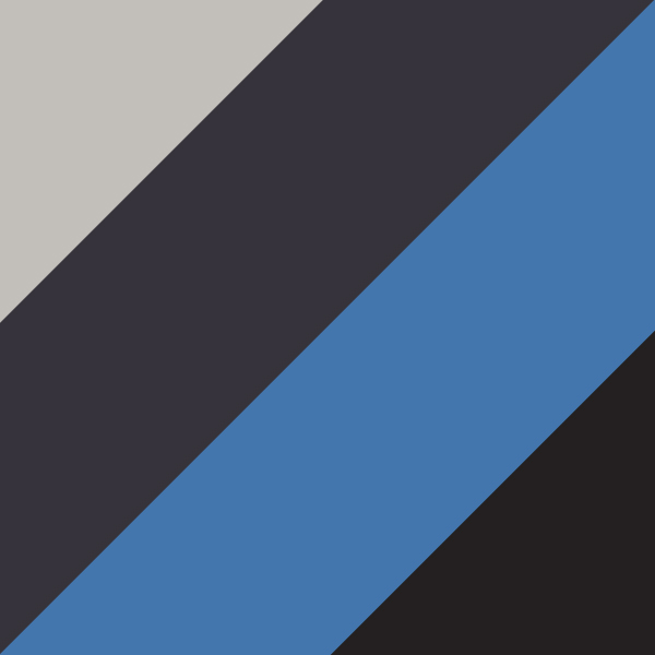 Shiny Gun/Black Washiwood/Electric Blue Birch/Ebony Tanganyika