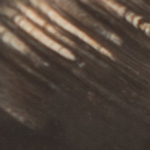 Dark Brown/White Figure