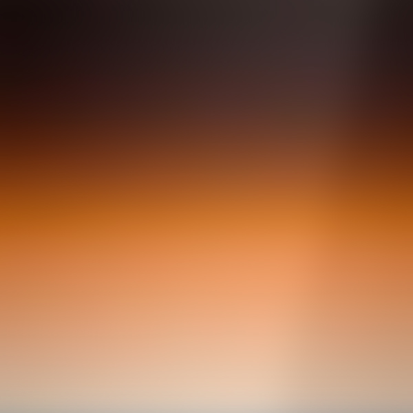 Cognac/Brown Gradient