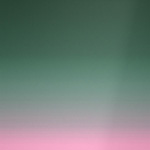 Forest-Rose Gradient/Black