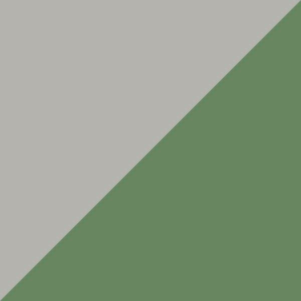 Silver Brushed/Green