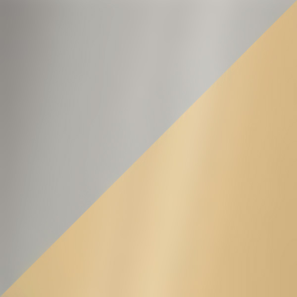 Silver/Gold Shiny