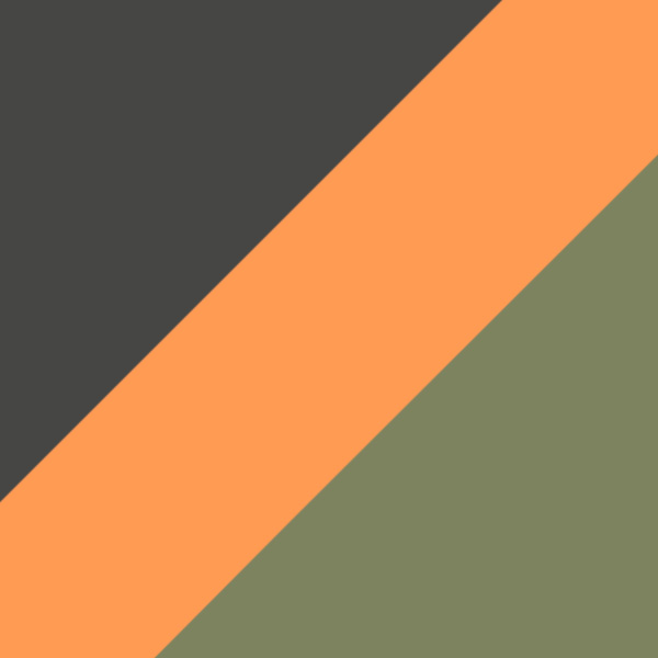 Camouflage/Orange