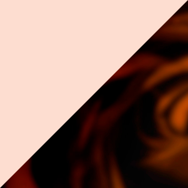 Light Pink Transparent/Tortoise