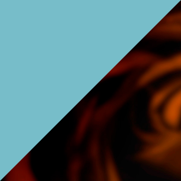 Light Blue Transparent/Tortoise