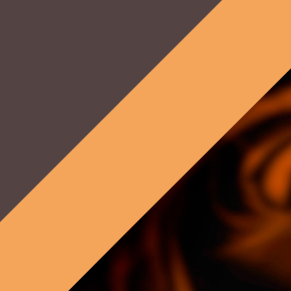 Havana/Blanc/Havana Transparent