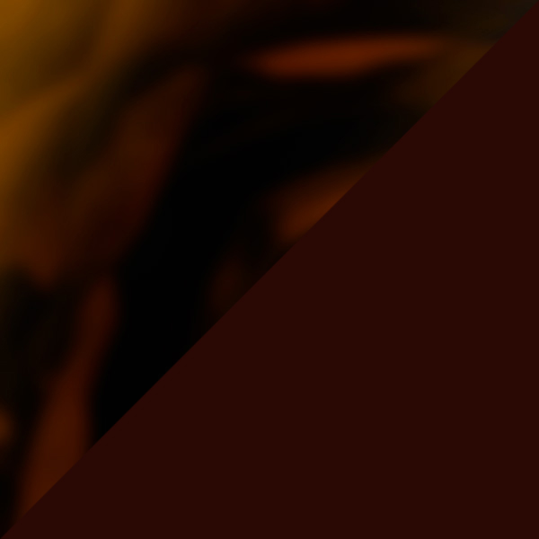 Tortoise/Dark Brown 0H37b