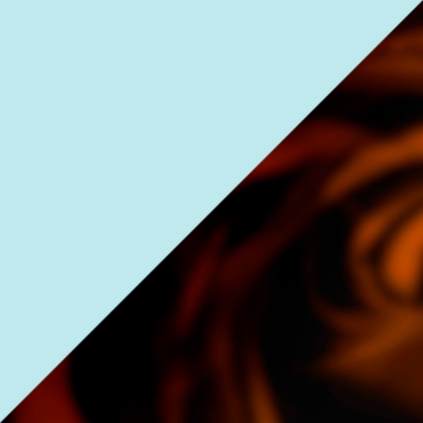 Light Blue Transparent/Tortoise