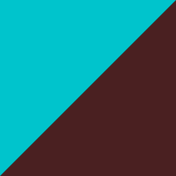 Turquoise/Brown