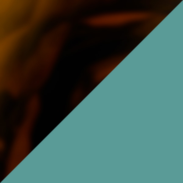 Tortoise/Light Blue 1H07c