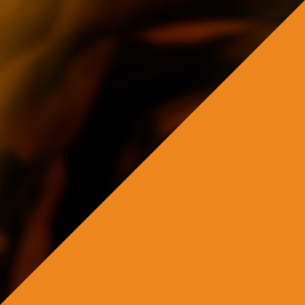 Tortoise/Orange 1H28b