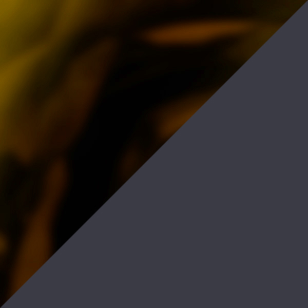 Tortoise/Black 1H28c