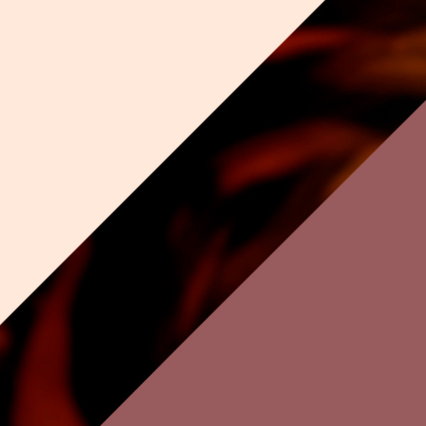 Transparent Brown Pink/Tortoise