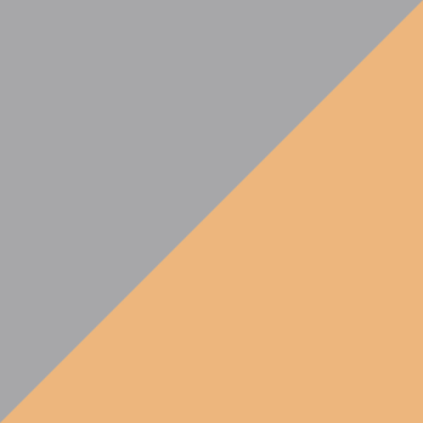 Gray/Orange