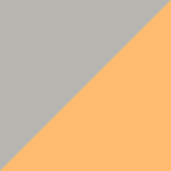 Gray/Orange