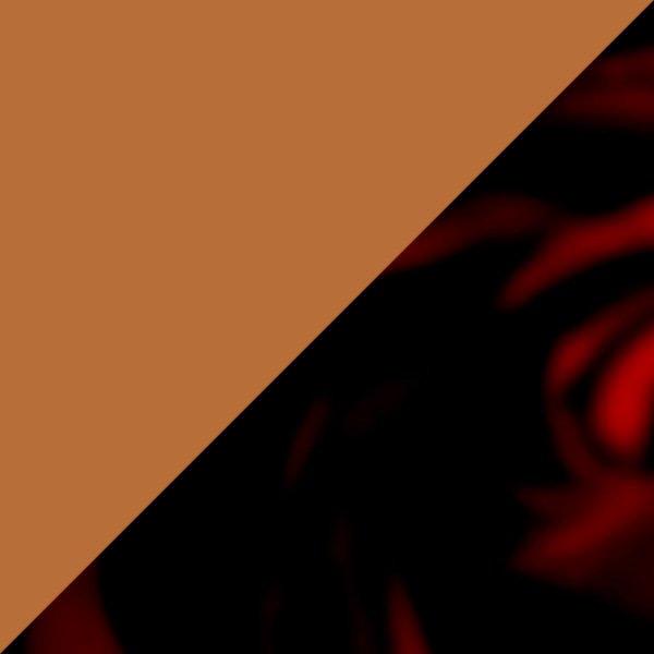 Blond Tortoise/Dark Tortoise