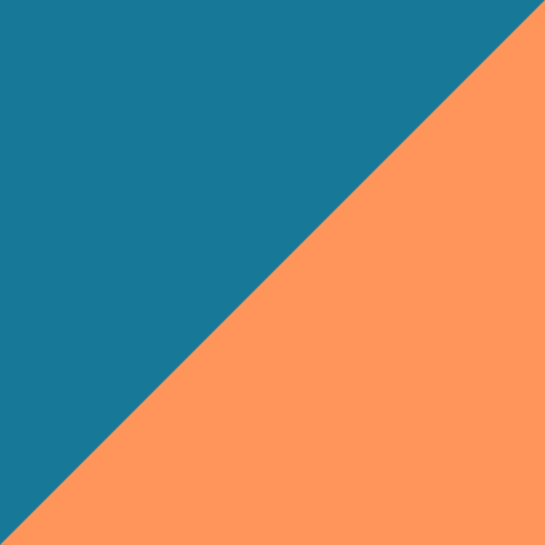 Turquoise/Matte Orange