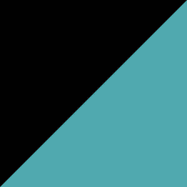 Venice Green Bridge-Black