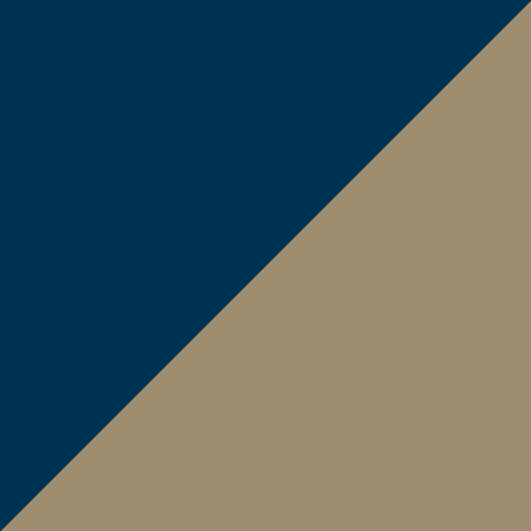Marine Blue-Bronze