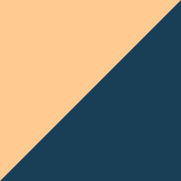 Rose Gold/Marine Blue Pop