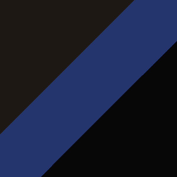 Black/Blue