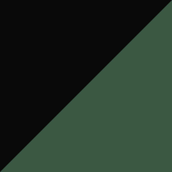 Black/Green 0046