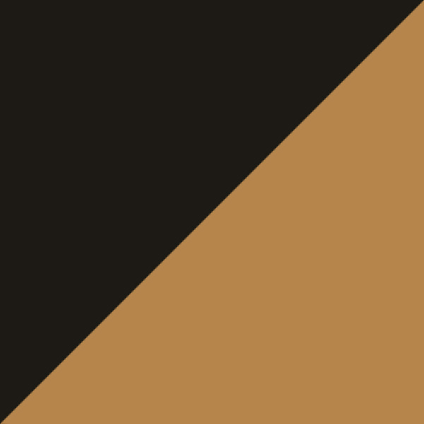 Black/Demi Gold