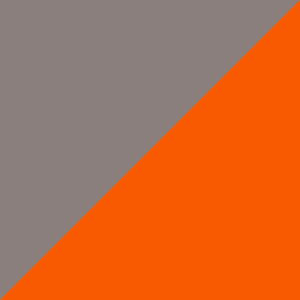 Gray/Orange/Copper Shiny 0160
