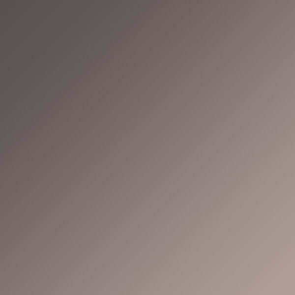 Matte Dark Bronze / Smoke