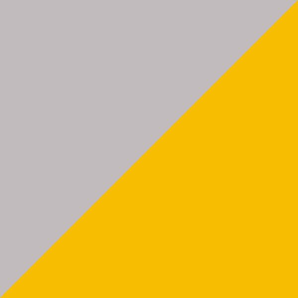 Gray Gun/Demi Yellow