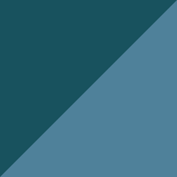 Midnight Blue/Sky Blue 0724