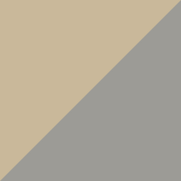 Beige/Silver 1504