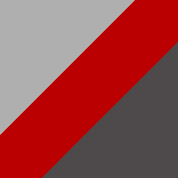 Gray Transparent/Tortoiseshell/Red/Fun 1530