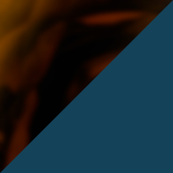 Tortoiseshell/Orange