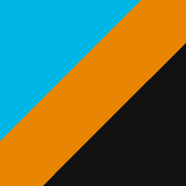 Tortoiseshell Turquoise/Copper/Black 2065