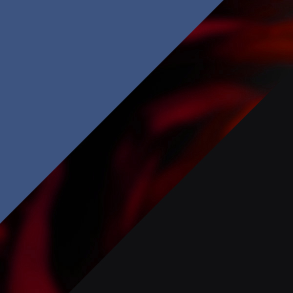 Blue/Tortoiseshell/Black