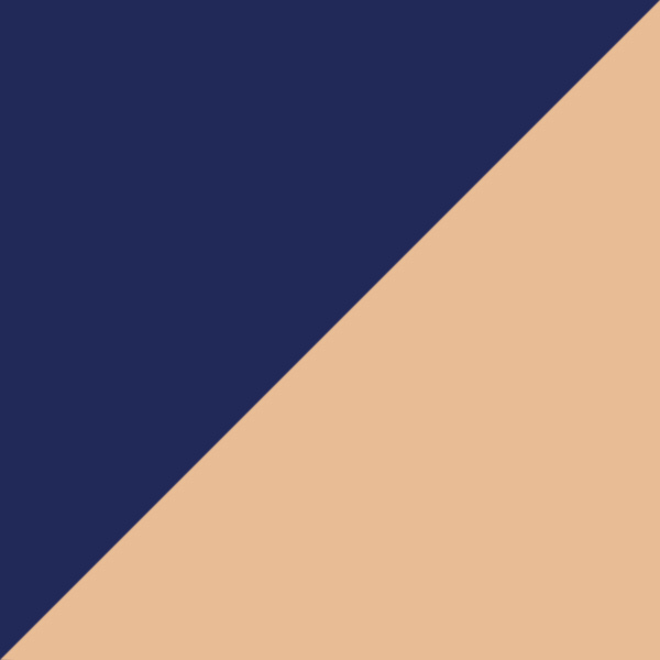 Turquoise/Tortoiseshell