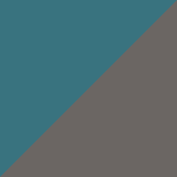 Blue/Gunmetal 2604