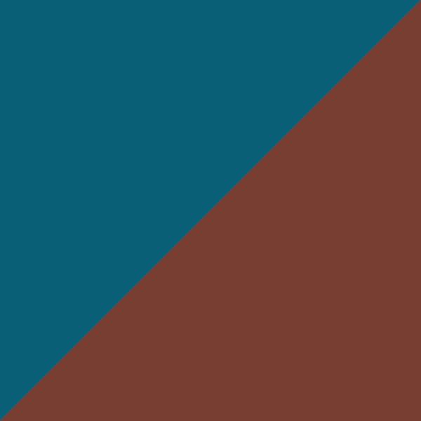 Blue/Brown 2697