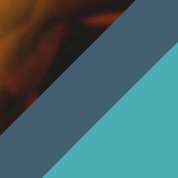 Tortoiseshell/Blue/Turquoise