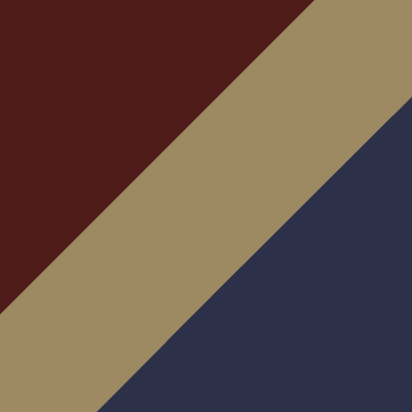 Brown/Tortoiseshell/Navy