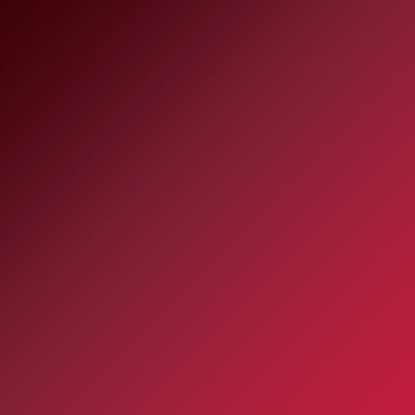 Red Shiny/Burgundy Satin