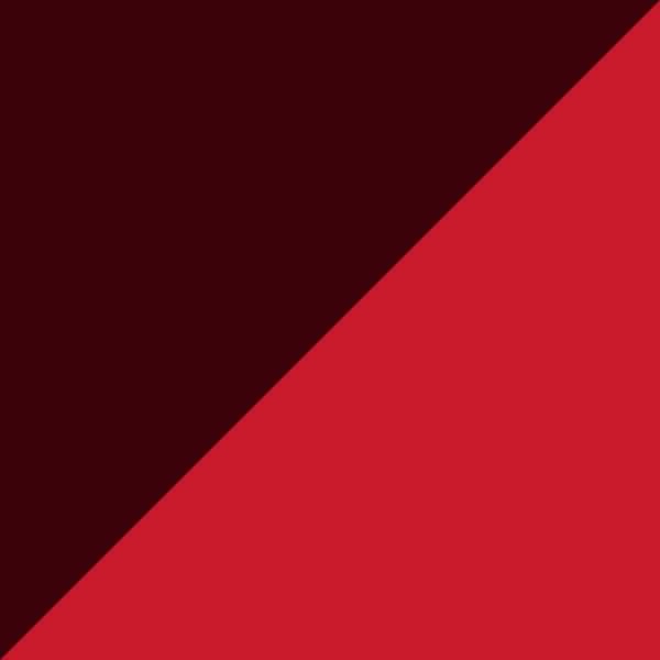 Burgundy Pixel/Red 3036