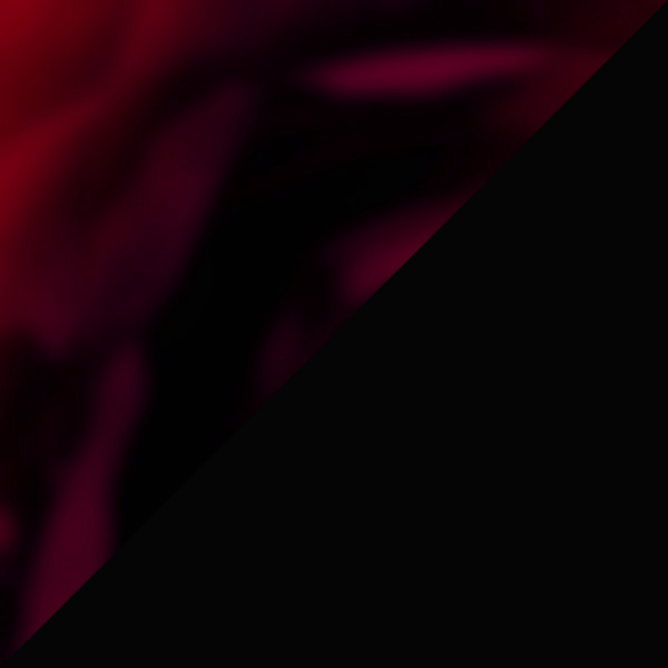 Tortoiseshell Burgundy/Striped Black