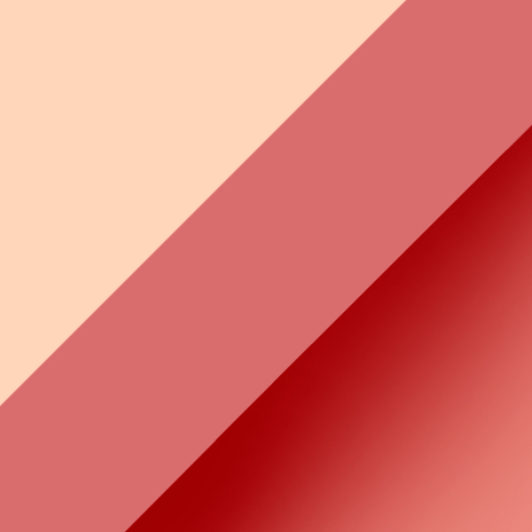 Gradient Burgundy/Flower/Pink