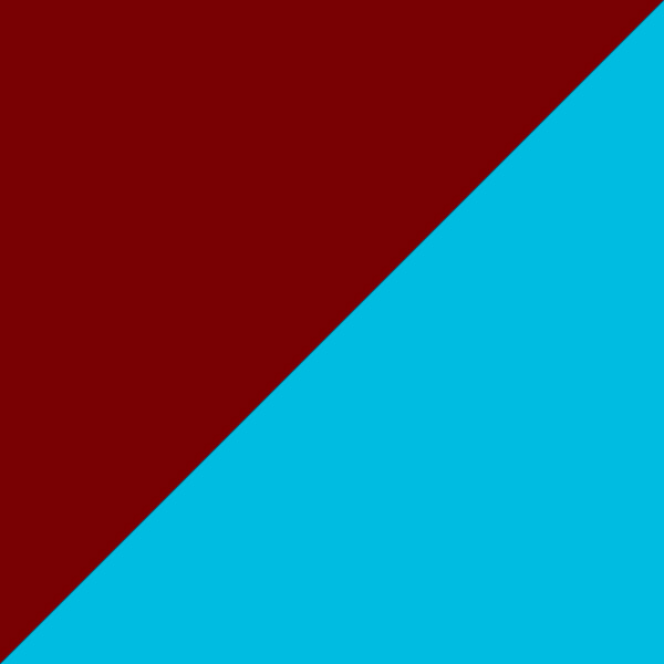 Burgundy/Turquoise