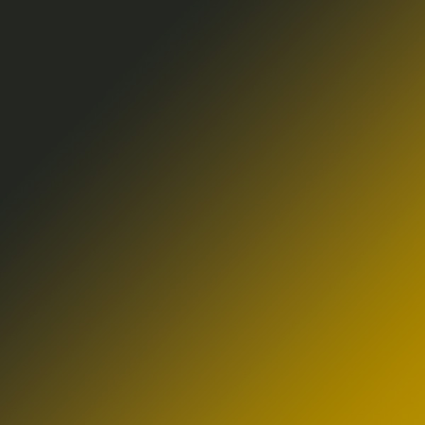 Turquoise/Tortoiseshell